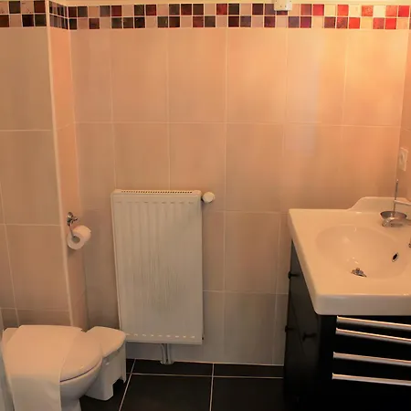 Cafe Culturel Le Cerf-volant Bed & Breakfast Serres (Aude)